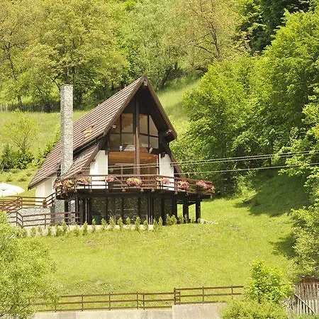 Holiday home Negras Traisteni